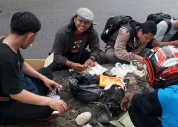 Kegersangan Angan-Angan Kelapa Sawit