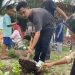 Tim Proide Miseta Unja, Adakan Kegiatan Pengaplikasian Pupuk Organik