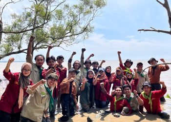 Mapala Gitasada Bergerak Tanam Mangrove, Lawan Abrasi di Pesisir
